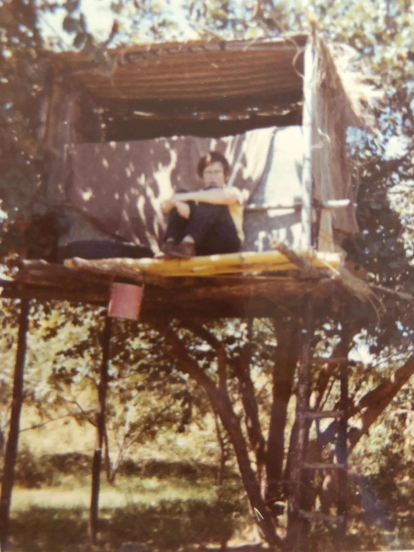 Will’s childhood treehouse in Zambia