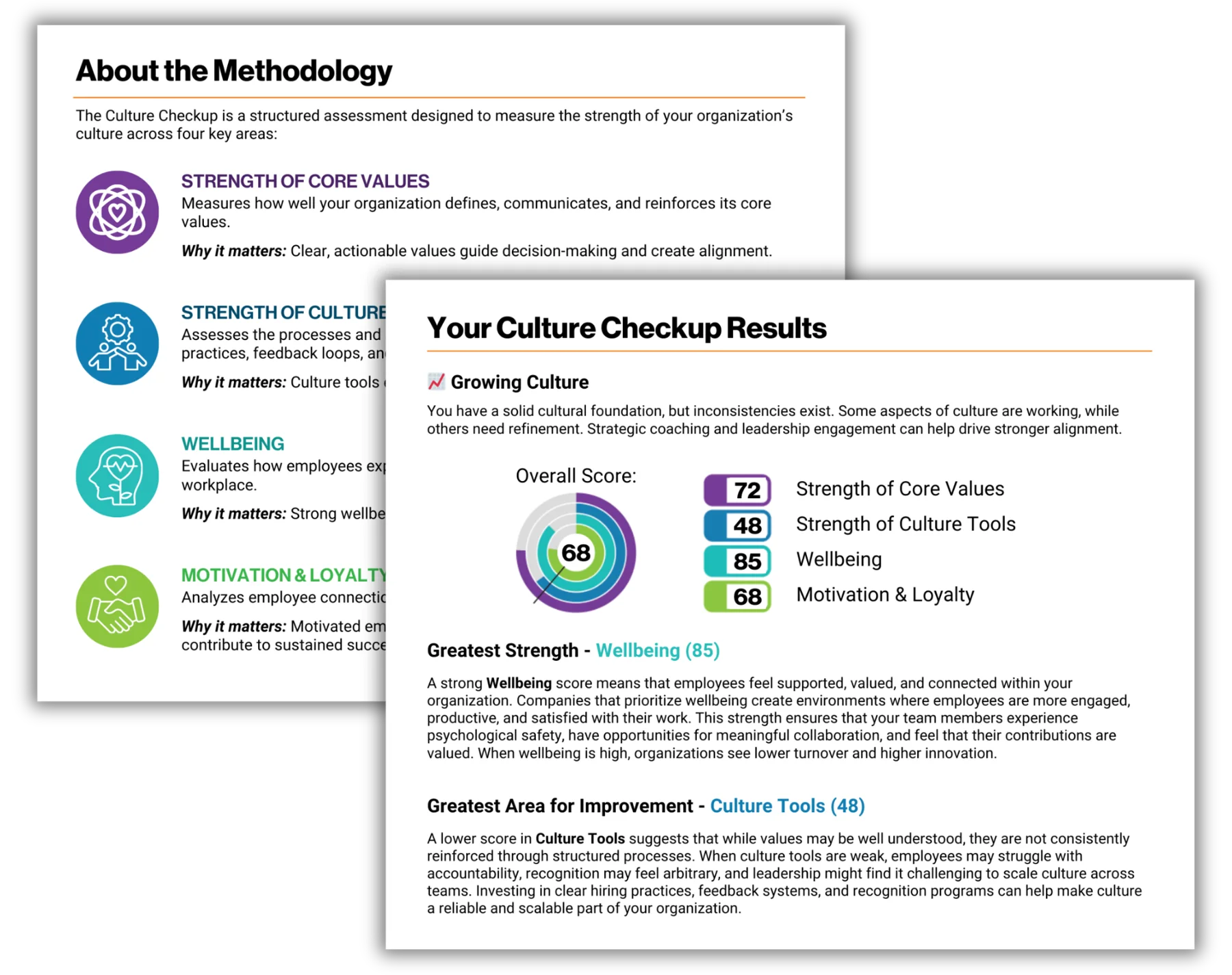 Culture Checkup report pages outlining the methodology and culture results.