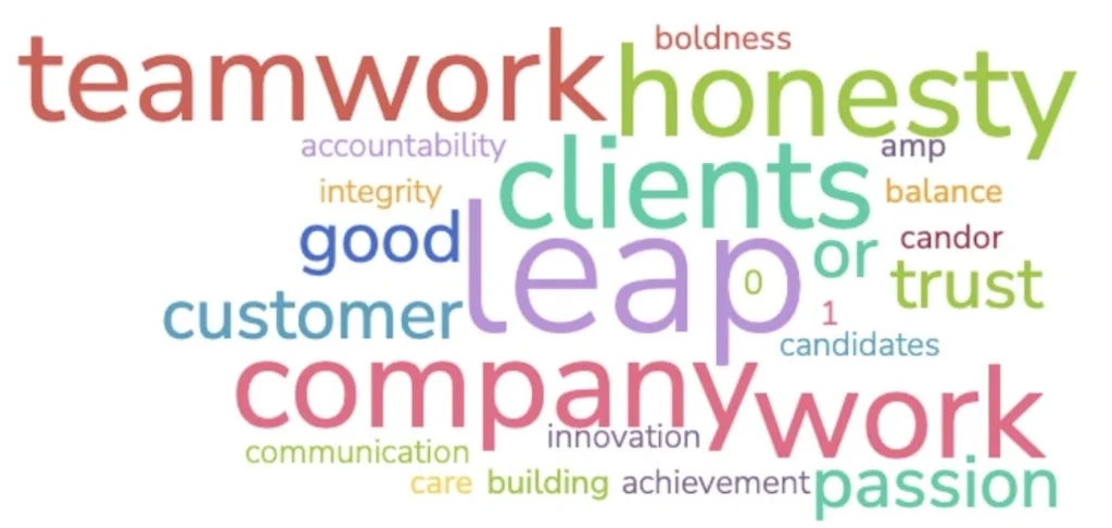 Core Values - Leap Co Case Study