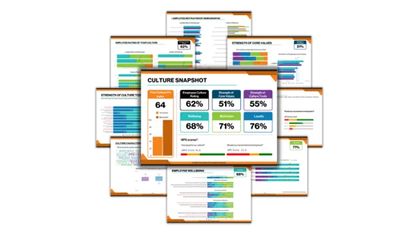A collection of culture survey report pages with charts and results.