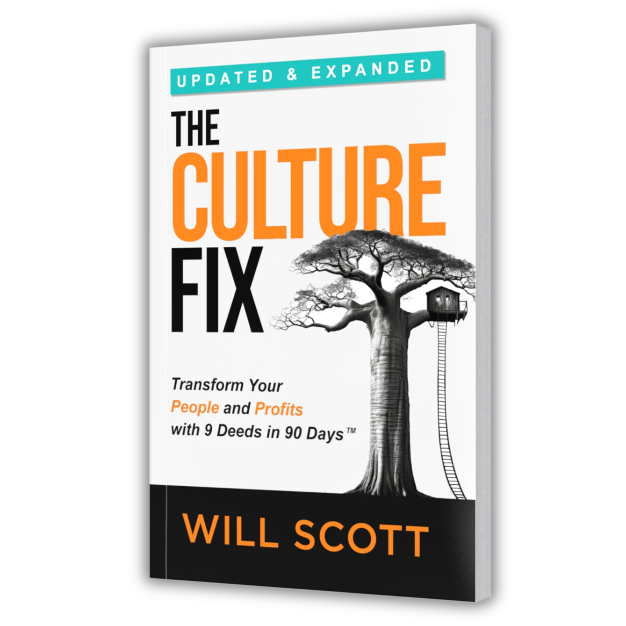 The Culture Fix® book cover